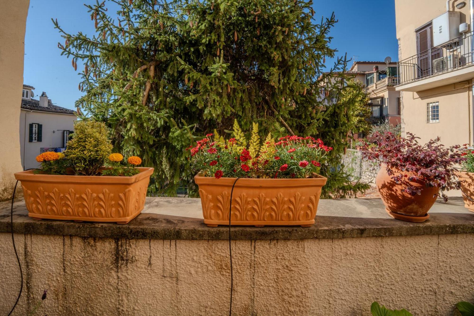 "Le Caraffe" Alatri - Alloggio Per Uso Turistico 외부 사진